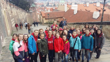FHT tím v Prahe na PHC 2016
